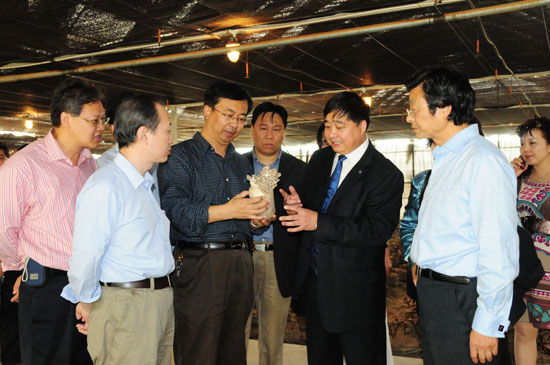 圖片關鍵詞 圖片關鍵詞