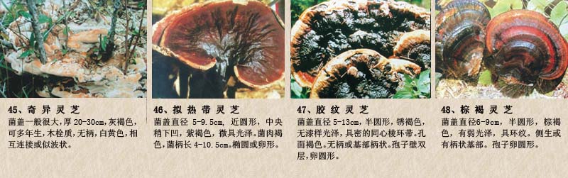 圖片關(guān)鍵詞 圖片關(guān)鍵詞