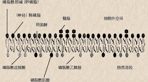 圖片關(guān)鍵詞 圖片關(guān)鍵詞