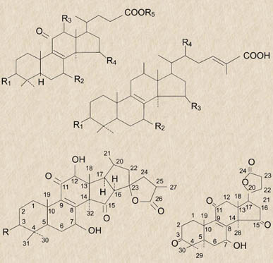圖片關(guān)鍵詞 圖片關(guān)鍵詞