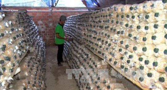 圖片關(guān)鍵詞 圖片關(guān)鍵詞