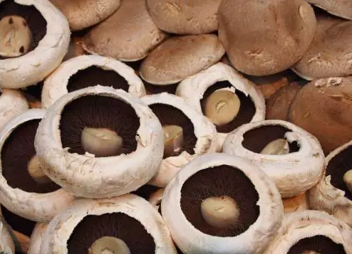 圖片關鍵詞 http://m.haobaoku.com/ewebeditor/uploadfile/20170914091257506001.png