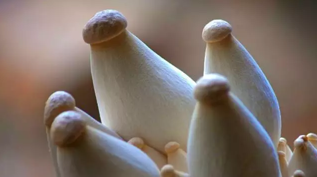 圖片關鍵詞 http://m.haobaoku.com/ewebeditor/uploadfile/20170914091357269001.png