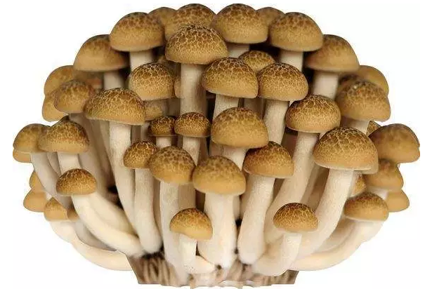 圖片關鍵詞 http://m.haobaoku.com/ewebeditor/uploadfile/20170914091421667001.png