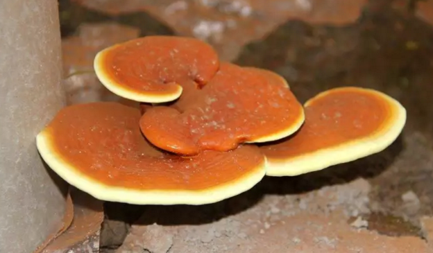 圖片關(guān)鍵詞 圖片關(guān)鍵詞