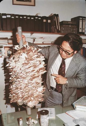 圖片關鍵詞 圖片關鍵詞