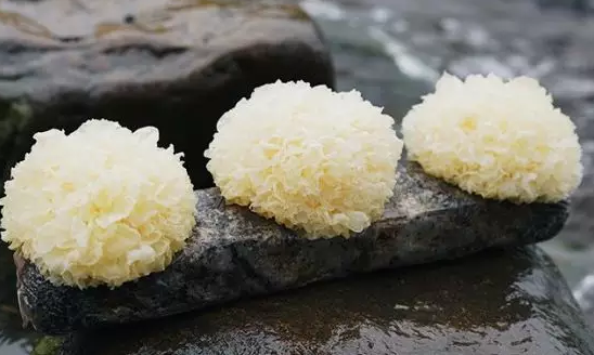 圖片關鍵詞 http://m.haobaoku.com/ewebeditor/uploadfile/20180328092751720001.png