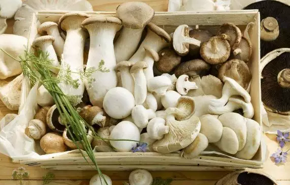 圖片關鍵詞 圖片關鍵詞