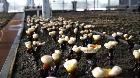 圖片關鍵詞 圖片關鍵詞