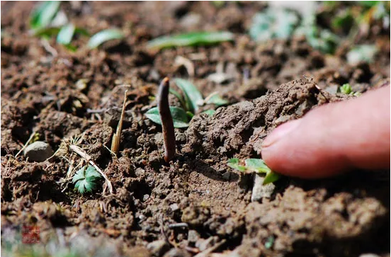 圖片關(guān)鍵詞 http://m.haobaoku.com/ewebeditor/uploadfile/20180921101313325001.png