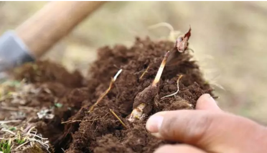 圖片關(guān)鍵詞 http://m.haobaoku.com/ewebeditor/uploadfile/20180921101228689001.png