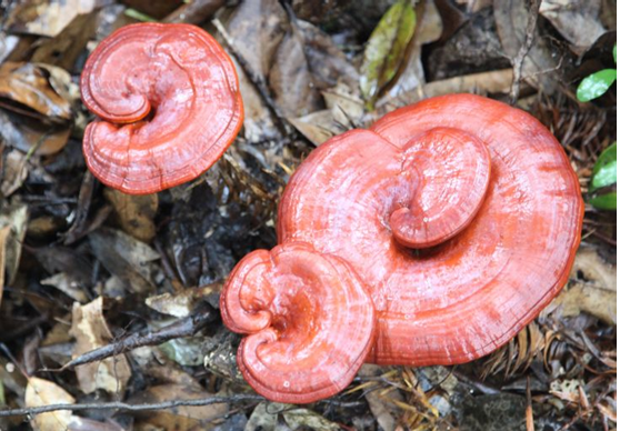 圖片關鍵詞 圖片關鍵詞