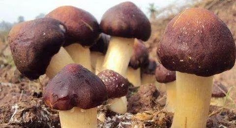 圖片關鍵詞 圖片關鍵詞