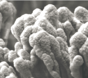 圖片關鍵詞 圖片關鍵詞