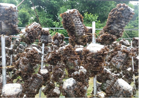 圖片關鍵詞 圖片關鍵詞