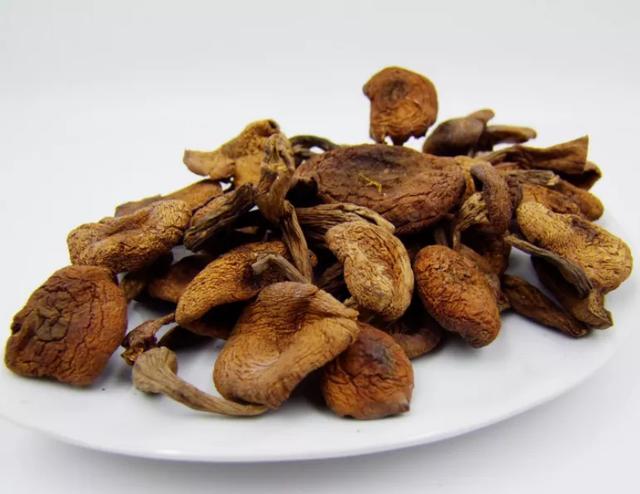 國家蘑菇地理：中國哪里的蘑菇最好吃？