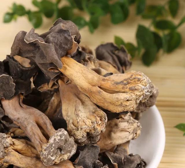 國家蘑菇地理：中國哪里的蘑菇最好吃？