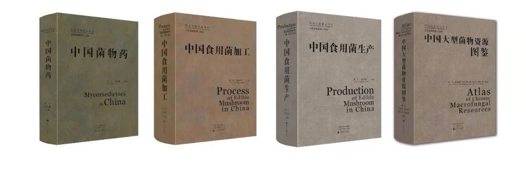 圖片關鍵詞 圖片