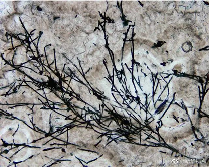 圖片關(guān)鍵詞 圖片關(guān)鍵詞