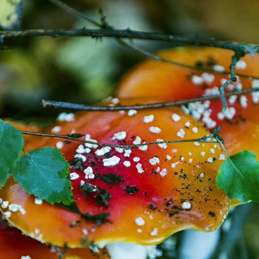 圖片關鍵詞 圖片關鍵詞