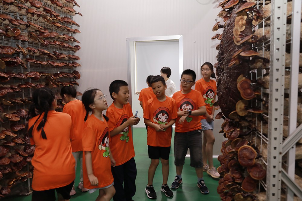 圖片關鍵詞 圖片關鍵詞