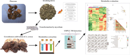圖片關鍵詞 圖片關鍵詞