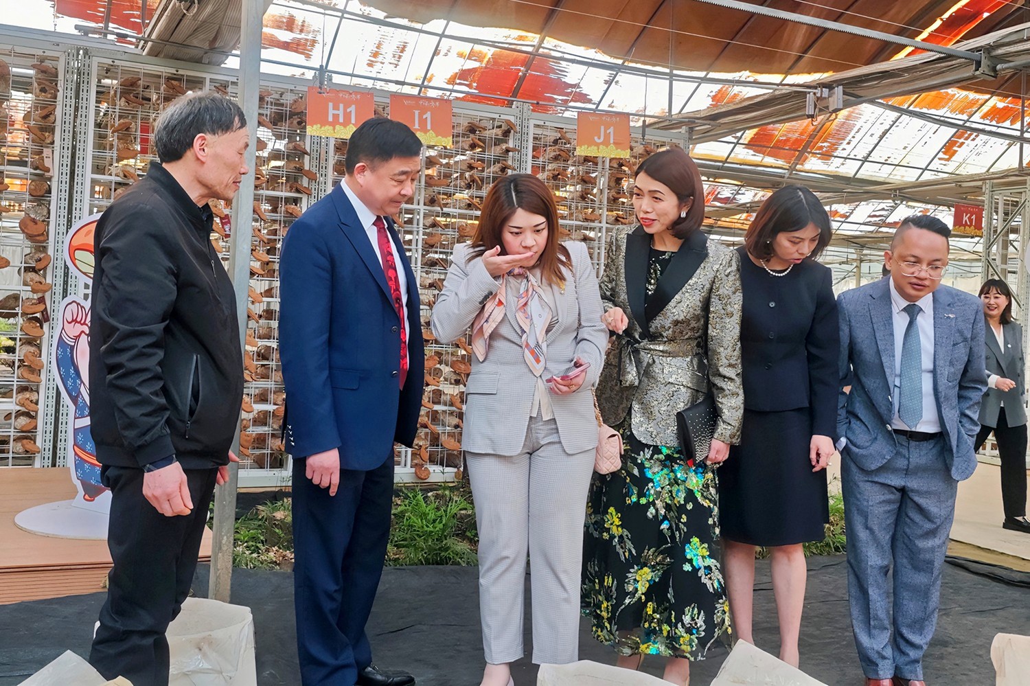 圖片關(guān)鍵詞 圖片關(guān)鍵詞