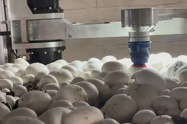 圖片關(guān)鍵詞 圖片關(guān)鍵詞