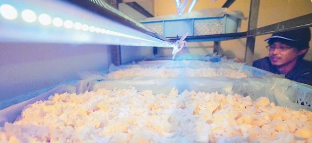 圖片關鍵詞 圖片關鍵詞