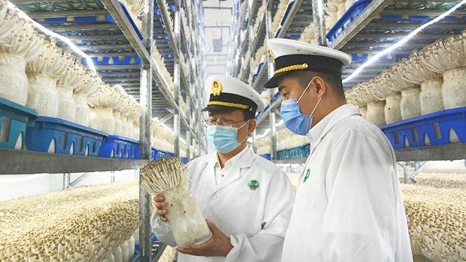 圖片關鍵詞 圖片關鍵詞