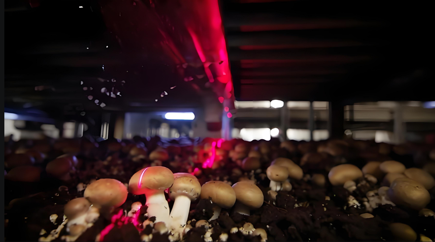 圖片關(guān)鍵詞 圖片關(guān)鍵詞