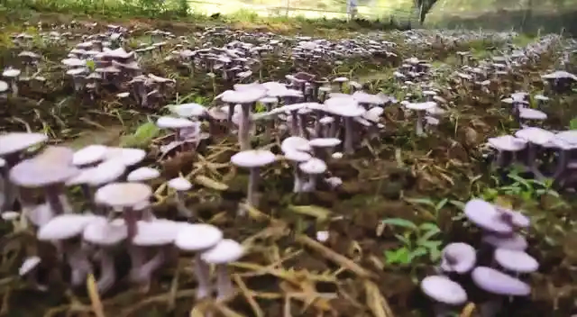 圖片關鍵詞 圖片關鍵詞