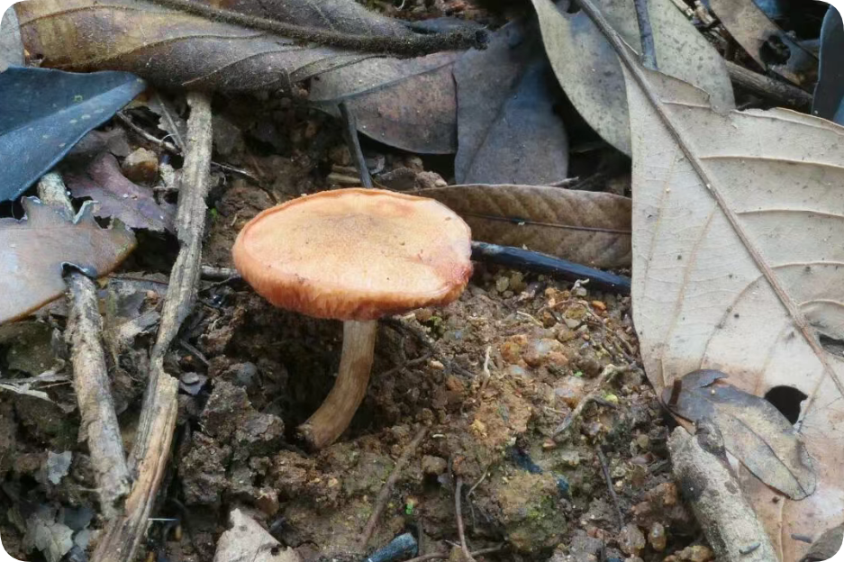 圖片關鍵詞 圖片關鍵詞